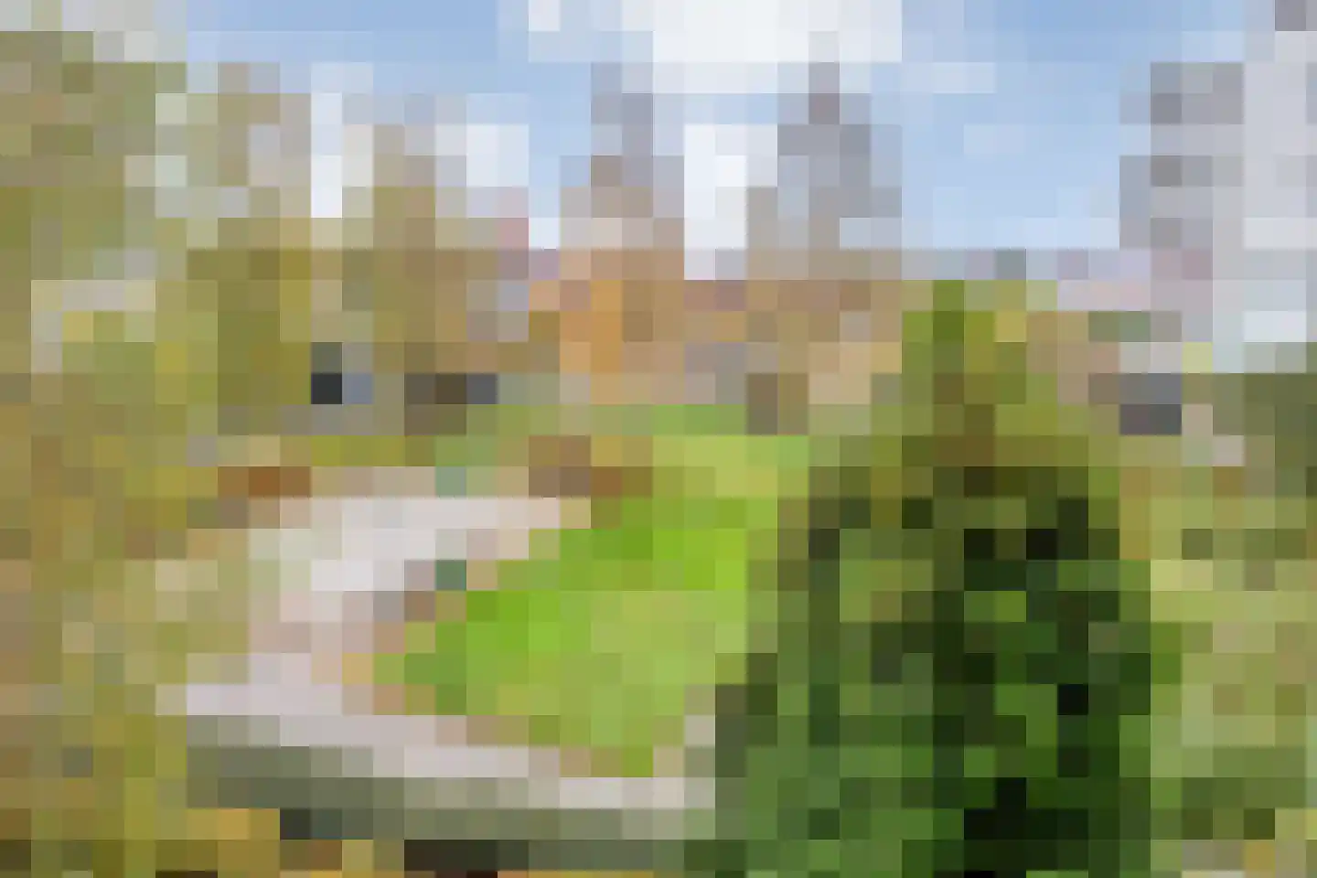 Cypruslaan 24 Rotterdam thumbnail 31