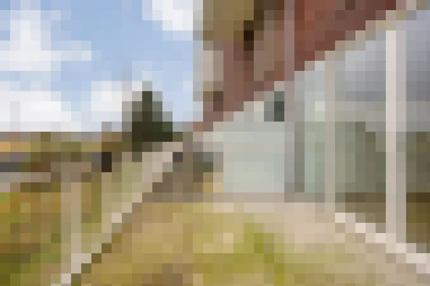 Cypruslaan 24 Rotterdam thumbnail 7