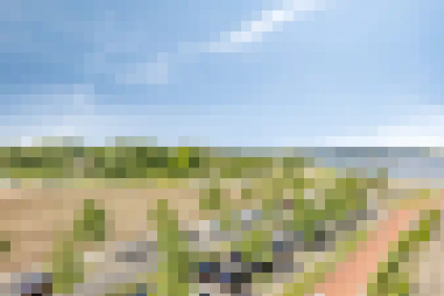 Cypruslaan 277 Rotterdam thumbnail 38