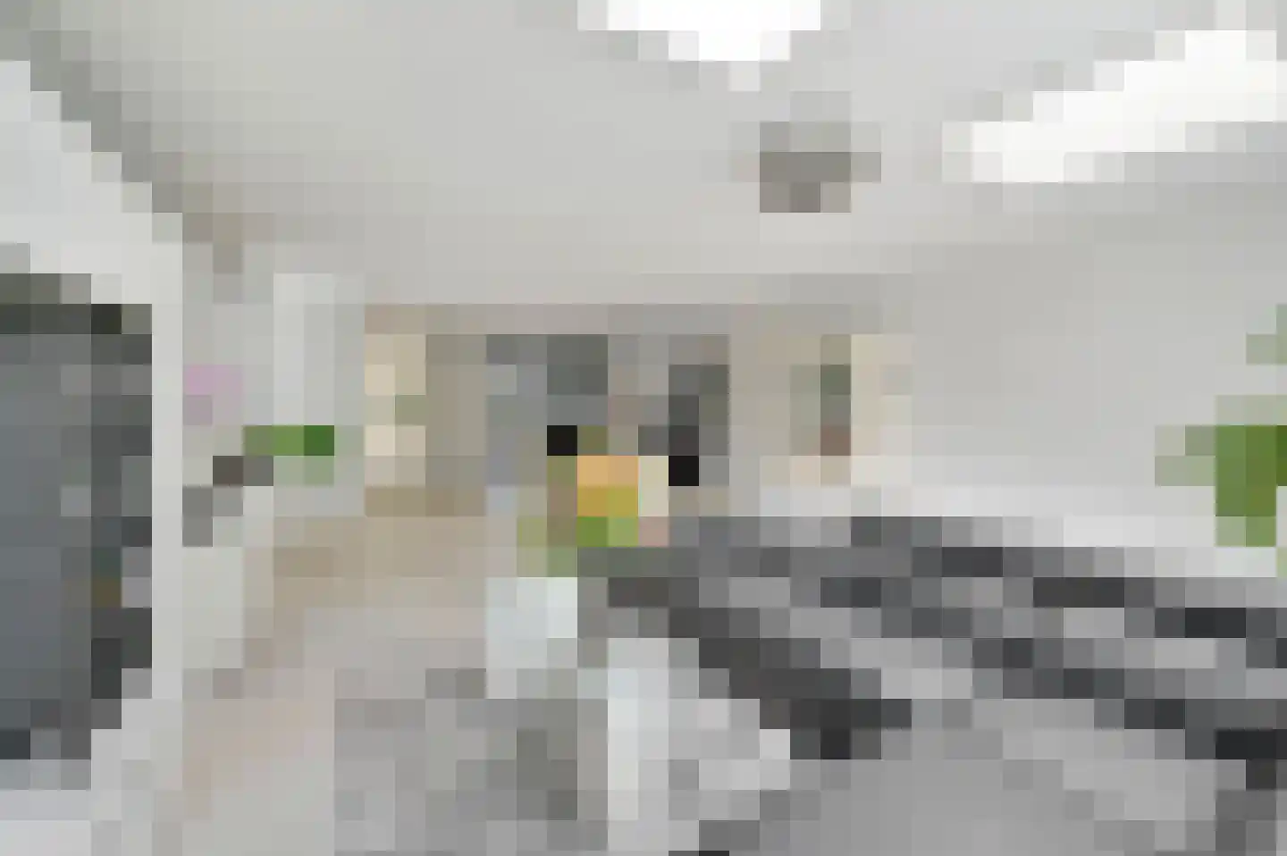 Cypruslaan 94 Rotterdam thumbnail 15
