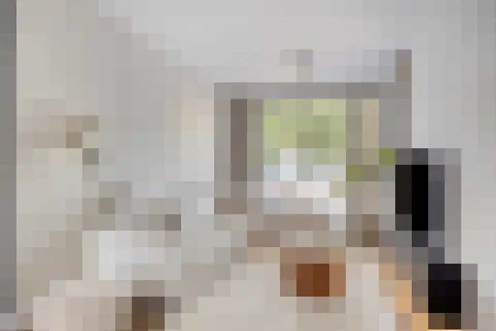Cypruslaan 95 Rotterdam thumbnail 4