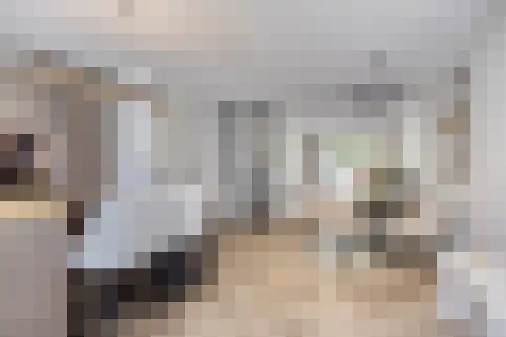 Cypruslaan 95 Rotterdam thumbnail 5