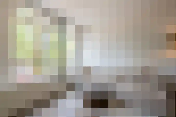 Czaar Peterstraat 112 2 Amsterdam thumbnail 6