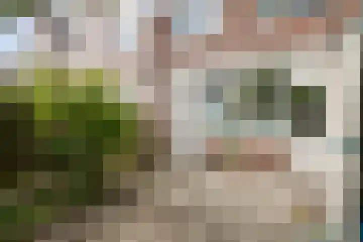 Czaar Peterstraat 13 Zaandam thumbnail 32