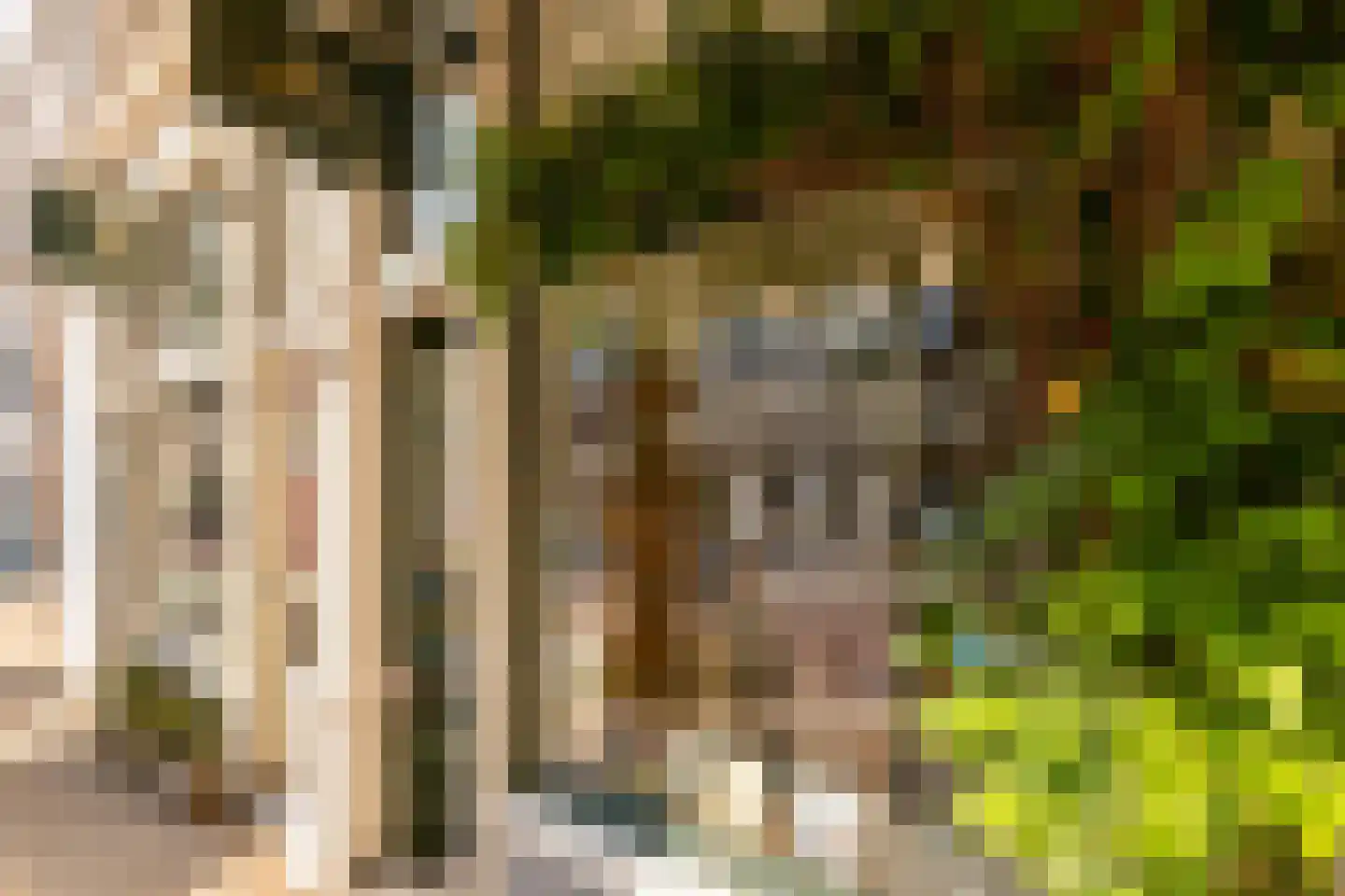 Czaar Peterstraat 149 3 Amsterdam thumbnail 32