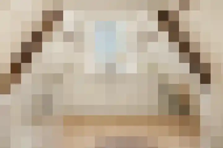 Czaar Peterstraat 168 D Amsterdam thumbnail 22