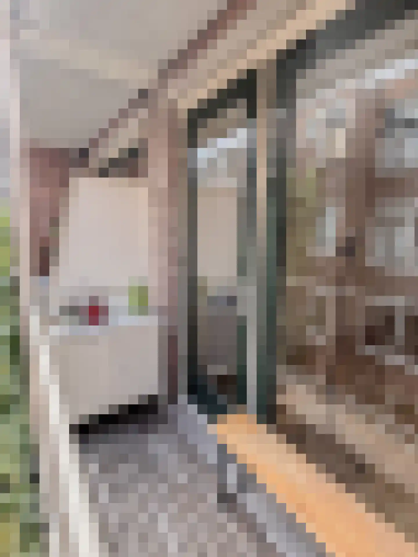 Czaar Peterstraat 170 C Amsterdam thumbnail 8