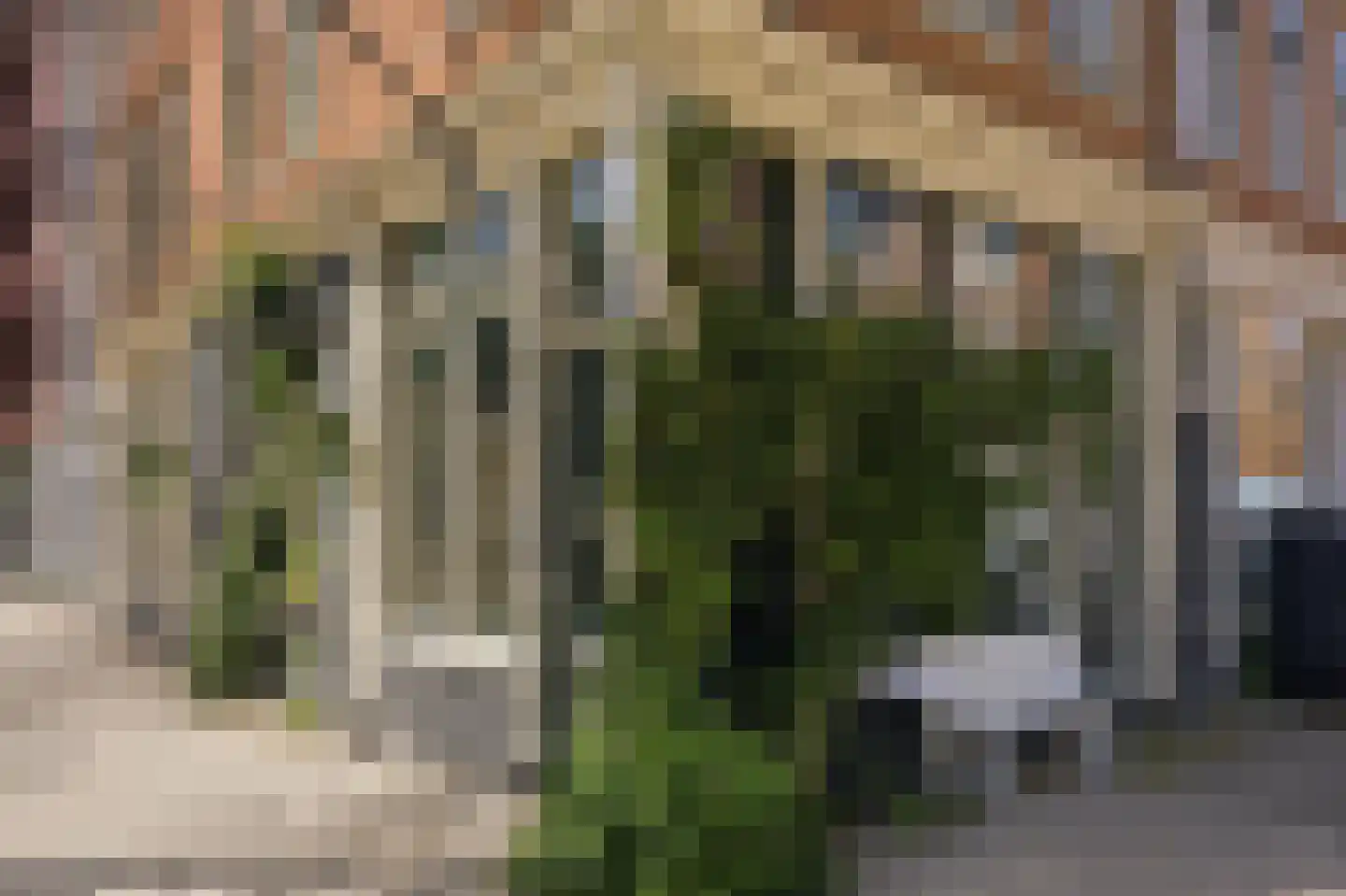 Czaar Peterstraat 184 E Amsterdam thumbnail 24