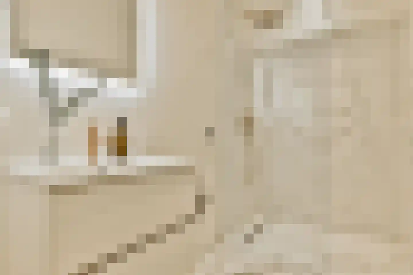 Czaar Peterstraat 23 E Amsterdam thumbnail 12