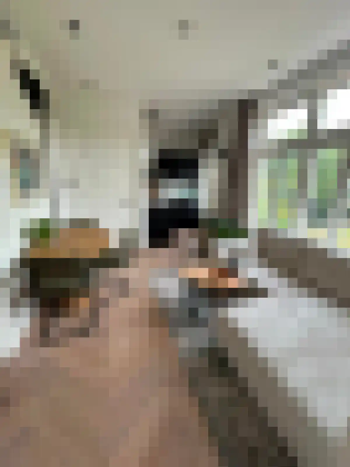 Czaar Peterstraat 23 F Amsterdam thumbnail 6