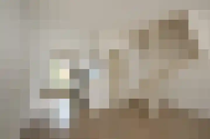 Czaar Peterstraat 62 Zaandam thumbnail 6
