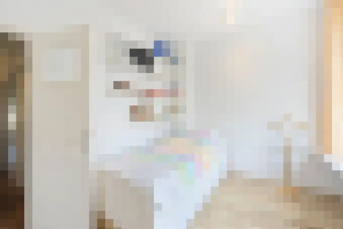 Czaar Peterstraat 80 Zaandam thumbnail 18