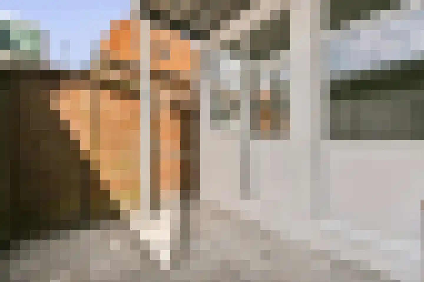 Czaar Peterstraat 9 Zaandam thumbnail 15