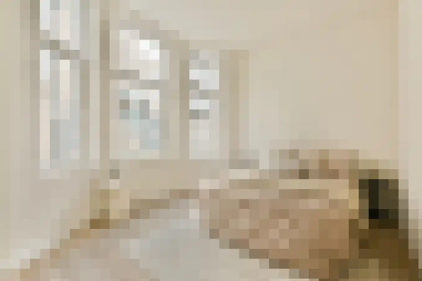 Czaar Peterstraat 9 Zaandam thumbnail 8
