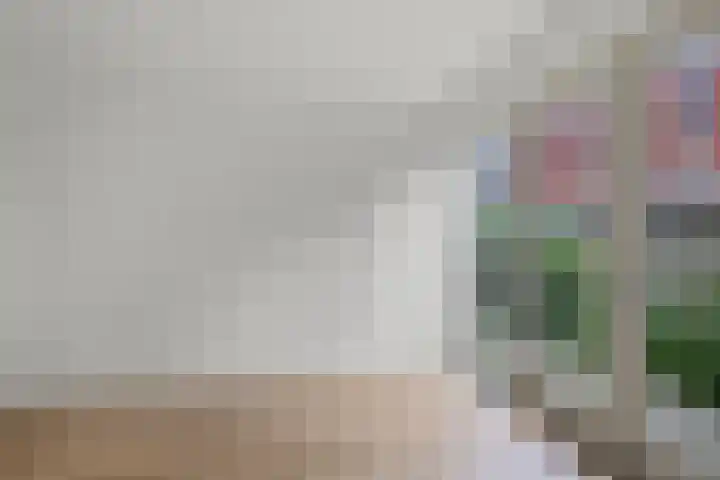 Czarinastraat 25 A Zaandam thumbnail 11