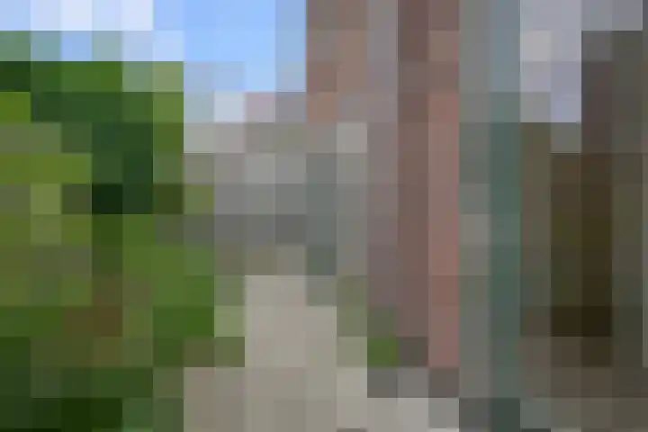 Czarinastraat 25 A Zaandam thumbnail 12