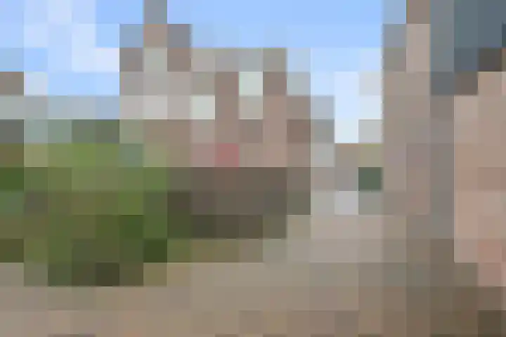 Czarinastraat 25 A Zaandam thumbnail 21