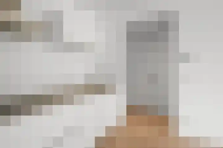 Czarinastraat 25 C Zaandam thumbnail 8