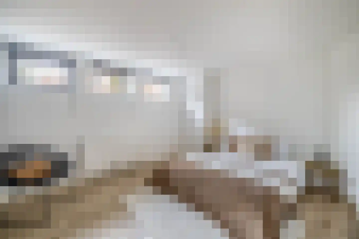 Czarinastraat 37 C Zaandam thumbnail 18