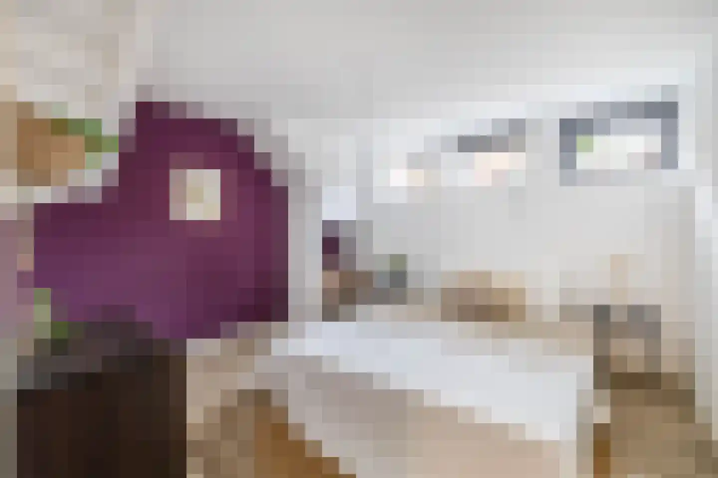 Czarinastraat 37 C Zaandam thumbnail 23