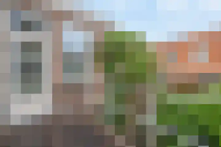Czarinastraat 38 Zaandam thumbnail 19