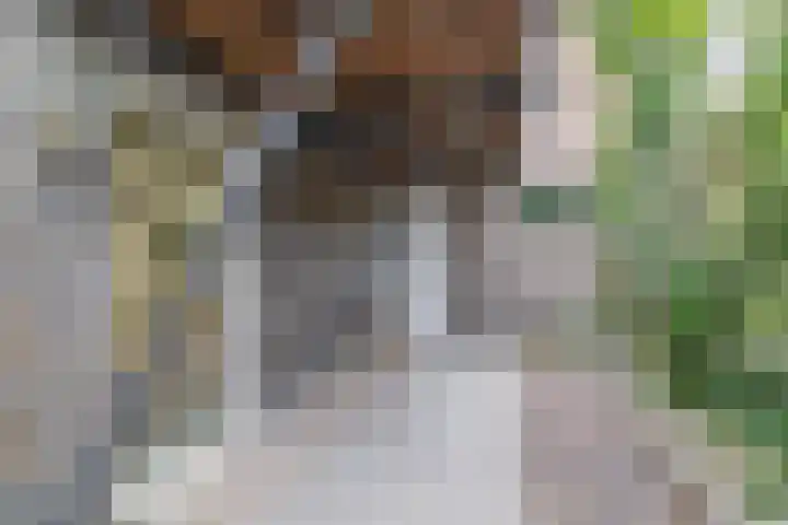 Czarinastraat 38 Zaandam thumbnail 34