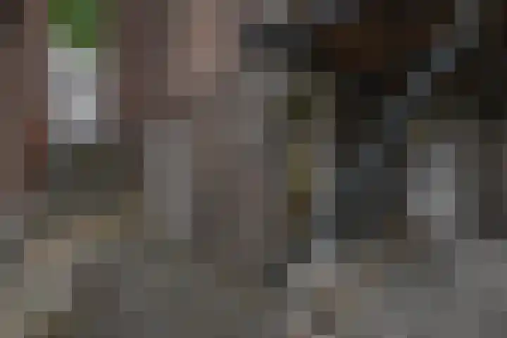 Czarinastraat 38 Zaandam thumbnail 35