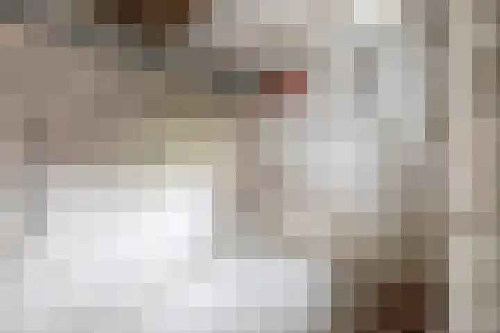 Czarinastraat 38 Zaandam thumbnail 39