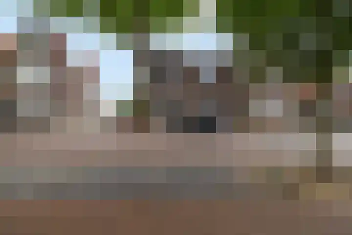 Czarinastraat 38 Zaandam thumbnail 42