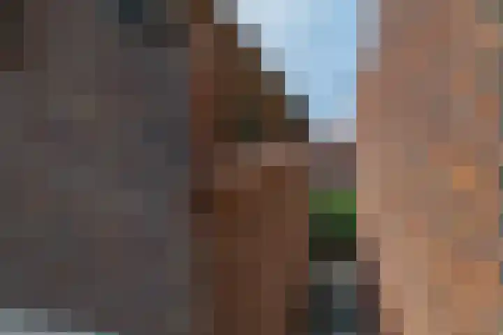 Czarinastraat 38 Zaandam thumbnail 58