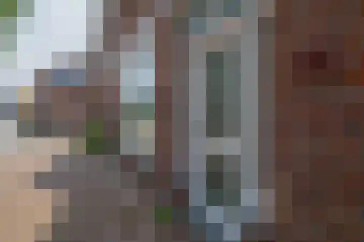 Czarinastraat 38 Zaandam thumbnail 6