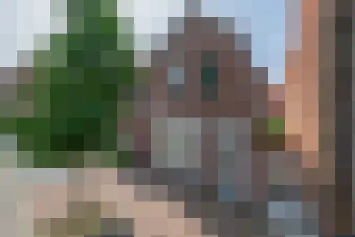 Czarinastraat 38 Zaandam thumbnail 59