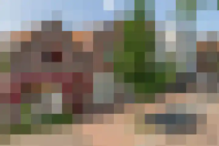 Czarinastraat 38 Zaandam thumbnail 61