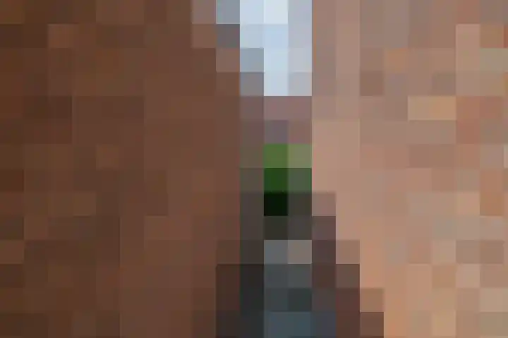 Czarinastraat 38 Zaandam thumbnail 64