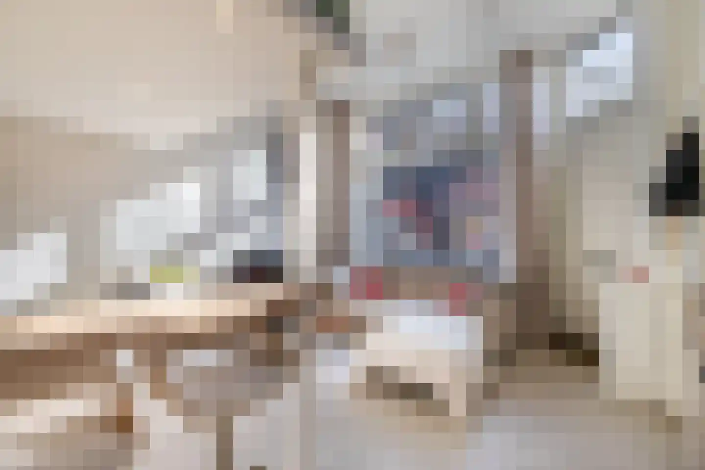 Czarinastraat 6 Zaandam thumbnail 6