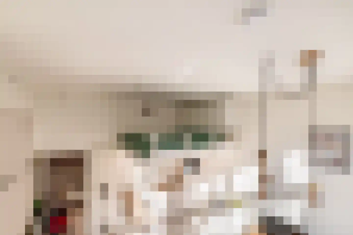 Czarinastraat 6 Zaandam thumbnail 7