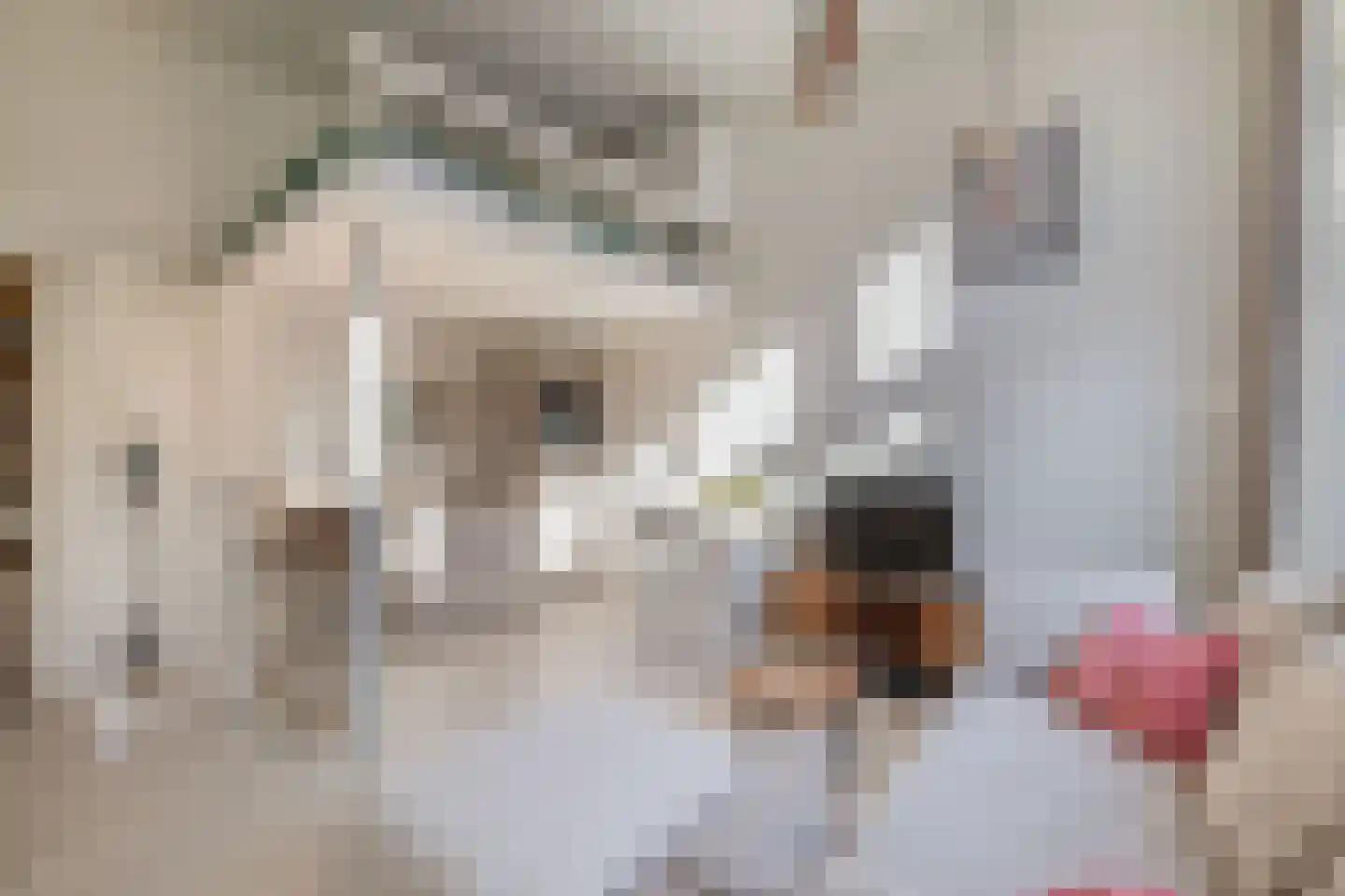 Czarinastraat 6 Zaandam thumbnail 8