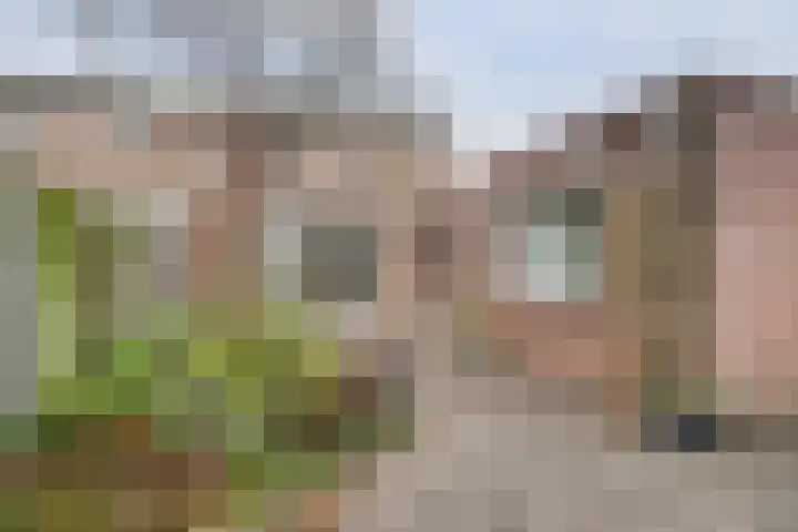 D A Poldermansstraat 20 's-Gravenpolder thumbnail 31