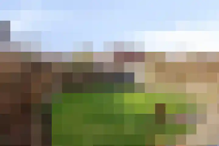 D A Poldermansstraat 5 's-Gravenpolder thumbnail 24