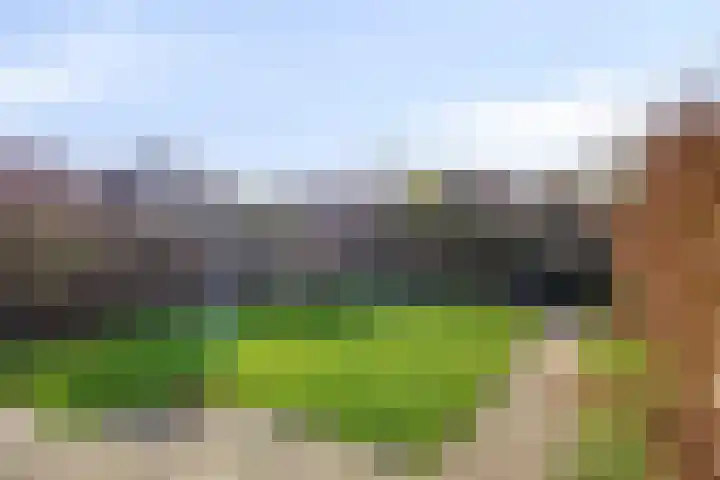 D A Poldermansstraat 5 's-Gravenpolder thumbnail 25