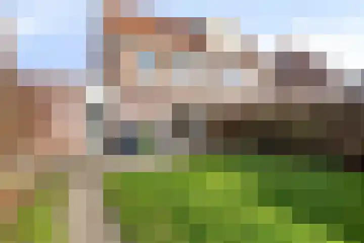 D A Poldermansstraat 5 's-Gravenpolder thumbnail 26