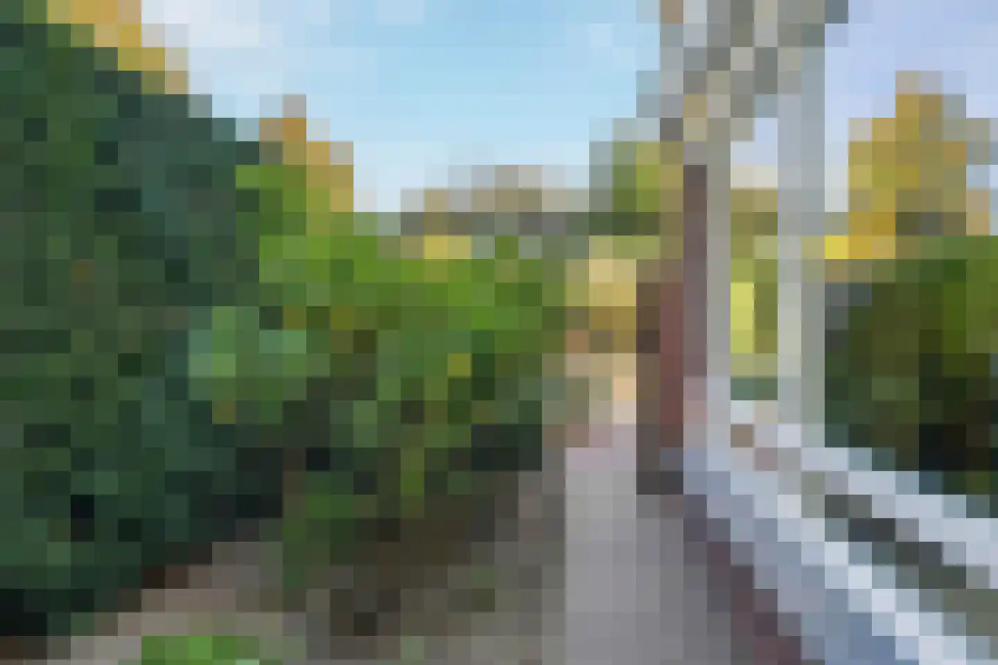 d'Almarasweg 125 Nijmegen thumbnail 39