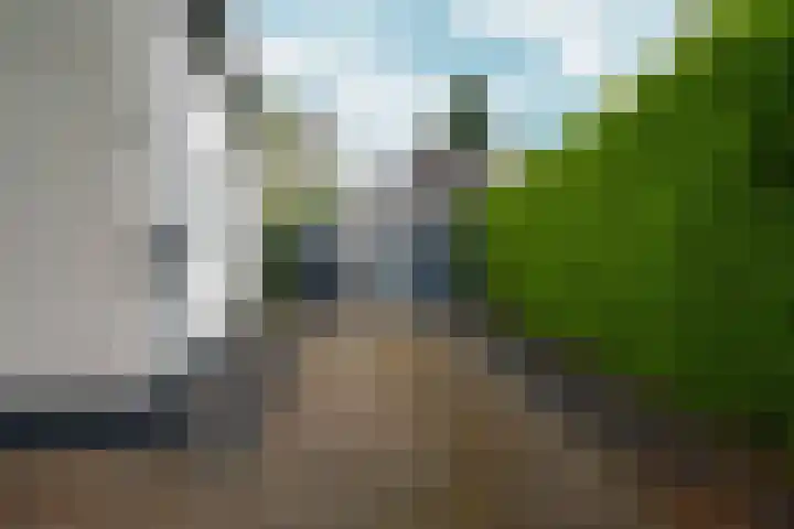 d'Almarasweg 14 Nijmegen thumbnail 11