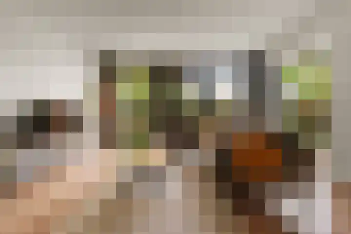 d'Almarasweg 14 Nijmegen thumbnail 21