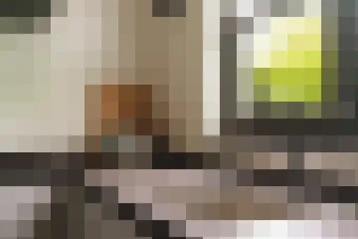 d'Almarasweg 14 Nijmegen thumbnail 28