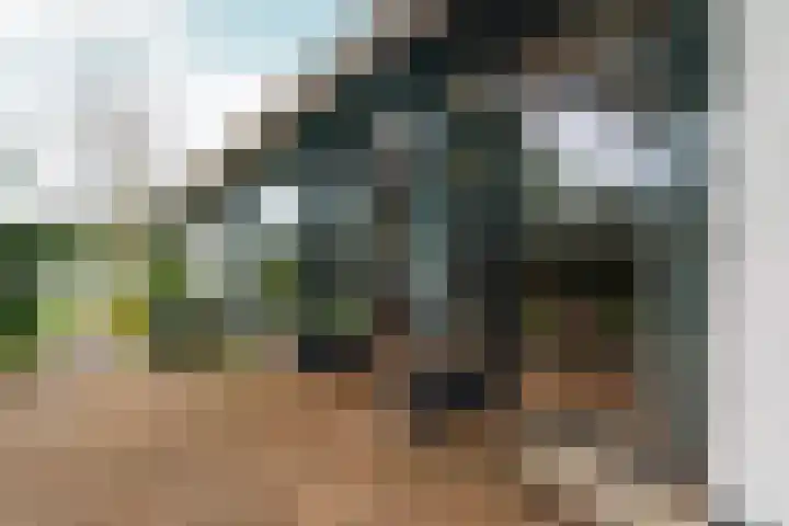 d'Almarasweg 14 Nijmegen thumbnail 36