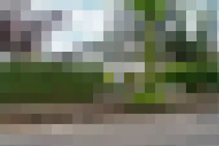 d'Almarasweg 14 Nijmegen thumbnail 4