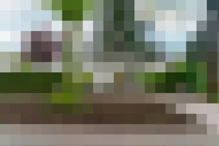 d'Almarasweg 14 Nijmegen thumbnail 5
