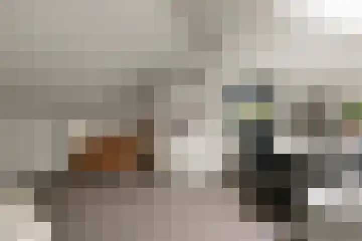d'Almarasweg 14 Nijmegen thumbnail 53
