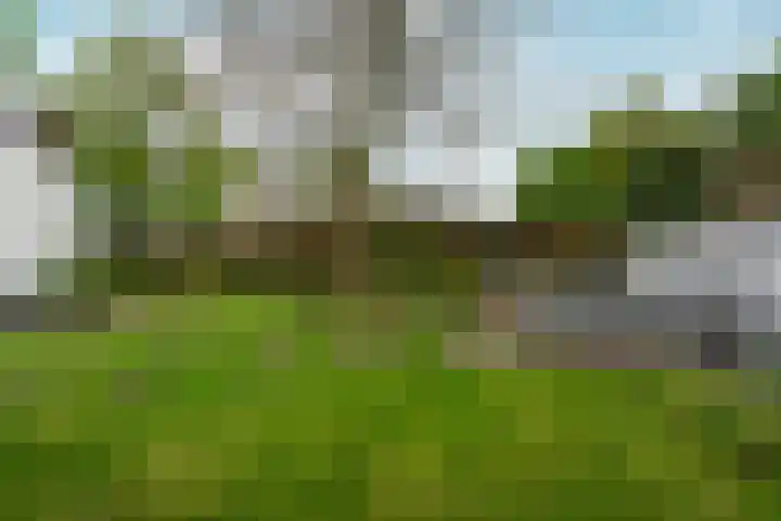 d'Almarasweg 14 Nijmegen thumbnail 72